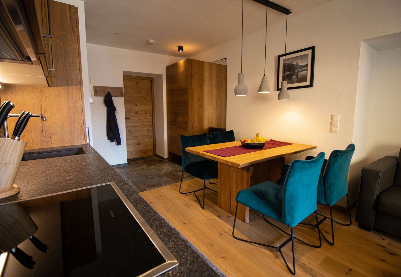 Wohnung in Mariapfarr - Apartment CASTOR mit 1 Schlafzimmer ohne Balkon 