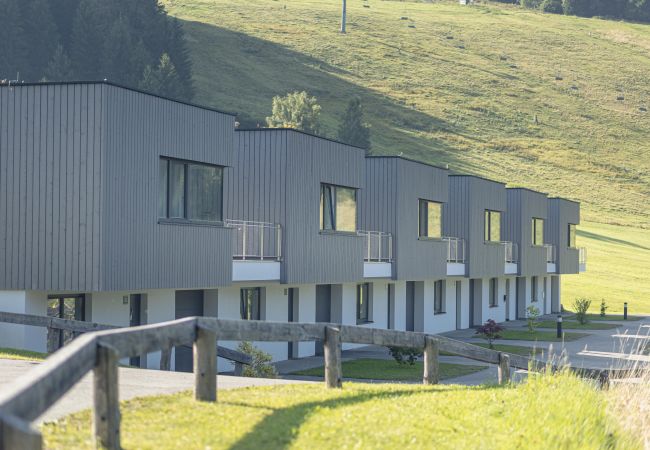 Ferienhaus in St. Lambrecht - Ferienhaus für bis zu 11 Personen mit IR-Sauna | Naturpark Chalets Lambrecht