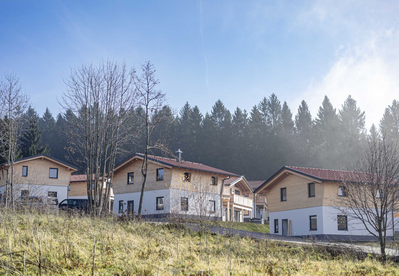 Wohnung in St. Englmar - Bayerischer Wald mit Sauna
